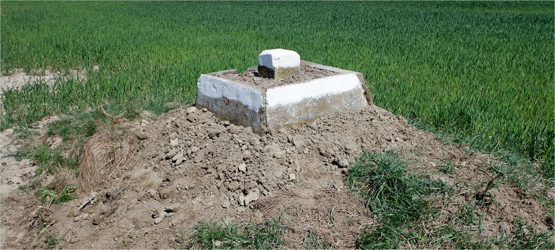 alappont