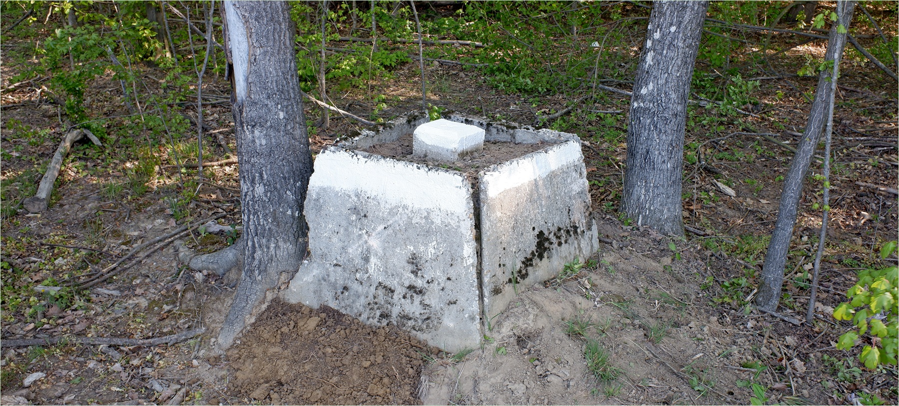 alappont